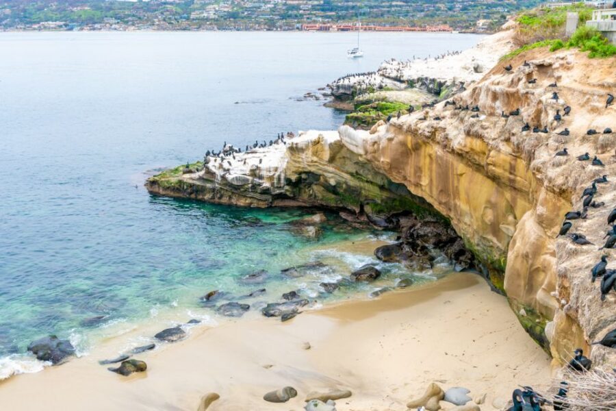 La Jolla Food & Drink Walking Tour - Sip, Savor & Sea - Getting started at La Dolce Vita Ristorante (and why that matters)
