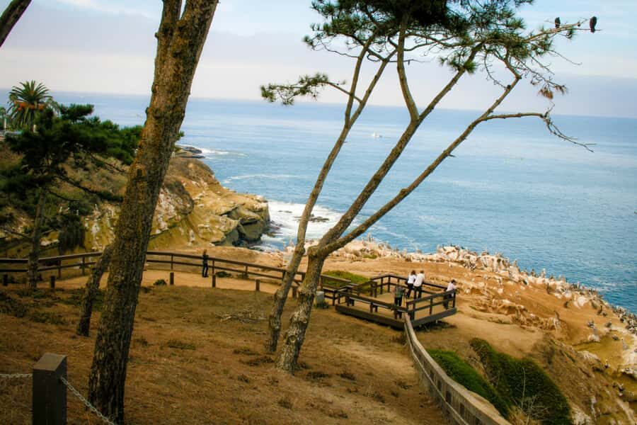La Jolla Free fall Electric Bike Tour - Mission Beach and Mission Bay Waterline Cruise