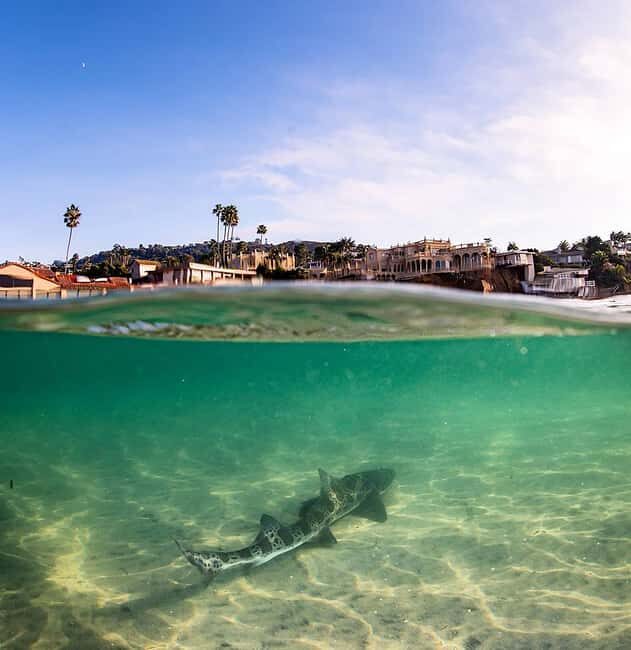 La Jolla: Full-Day Snorkel Gear Rental with Wetsuit Option - Price and value: why $15 can make sense (if you’re prepared)