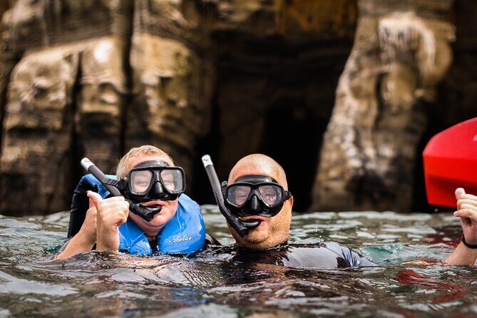 La Jolla Kayak and Snorkel Tour - Snorkeling in La Jolla: what you’re likely to see