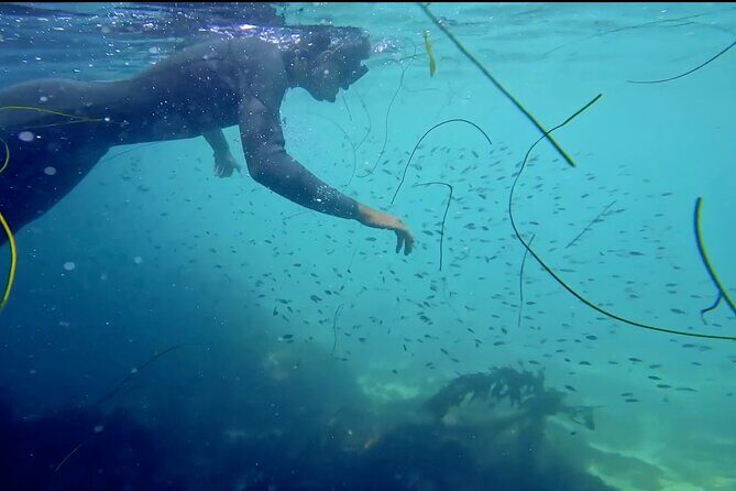 La Jolla Kayak and Snorkel Tour - Price and value: what $114 covers (and why that matters)