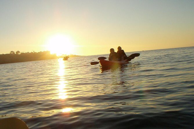 La Jolla Kayak Rental - The 90-Minute Paddling Window Around La Jolla Ecological Reserve