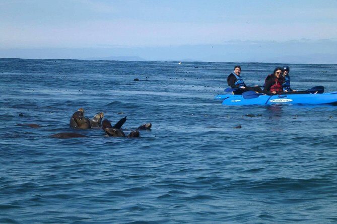 La Jolla Sea Caves Kayak Tour For Two (Tandem Kayak) - La Jolla Sea Caves by tandem kayak: why it feels like a real eco-adventure