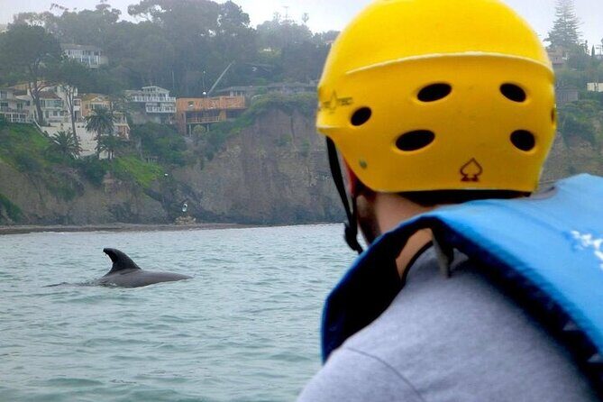 La Jolla Sea Caves Kayak Tour (Single Kayak) - Stop 1: La Jolla Cove for that quick, scenic start