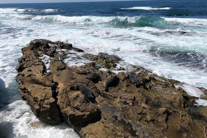 La Jolla Segway Tour - Sunny Jim Cave: The Only Land-Access Sea Cave and Its Famous Steps