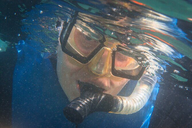 La Jolla Snorkel with the Leopard Sharks - La Jolla Ecological Reserve: why the location is part of the value