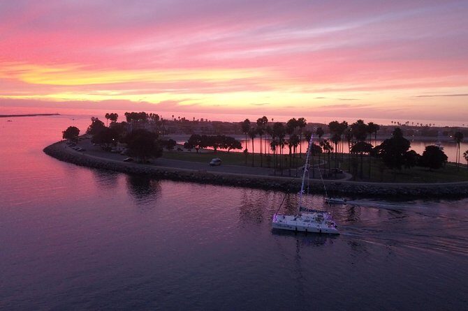 Luxury Catamaran Sailing Charter of San Diego - Dolphins and Wildlife: What to Expect and How to Enjoy It