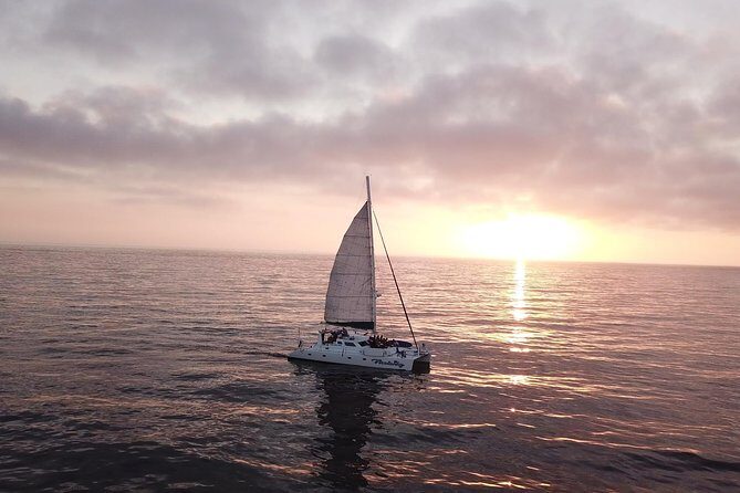 Luxury Catamaran Sailing Charter of San Diego - Price and Value: The $100 Captain’s Fee and What You’re Really Buying