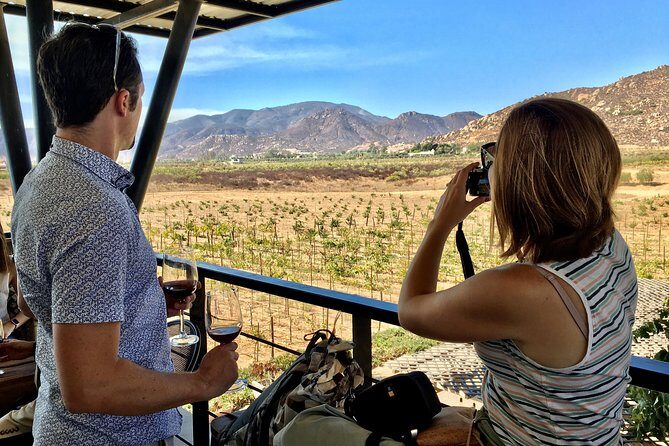 Luxury Private Wine Tasting Tour to Guadalupe Valley from San Diego - San Diego to Valle de Guadalupe with less stress and more wine