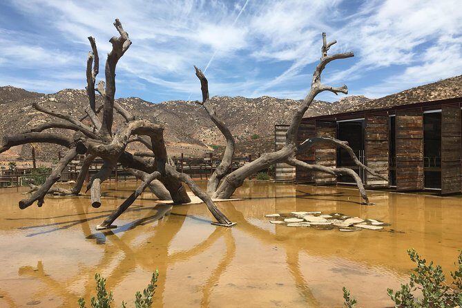 Luxury Private Wine Tasting Tour to Guadalupe Valley from San Diego - Winery #2 at Baron Balche: longer stop, cheese, and the wine-making process