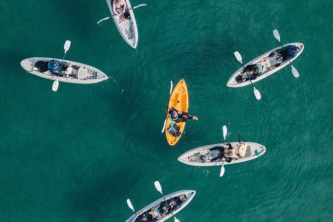 Original La Jolla Sea Cave Kayak Tour for Two - Kayaking in La Jolla: the practical draw of the Ecological Reserve