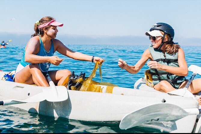 Original La Jolla Sea Cave Kayak Tour for Two - Sea caves and the Seven Sea Caves name game