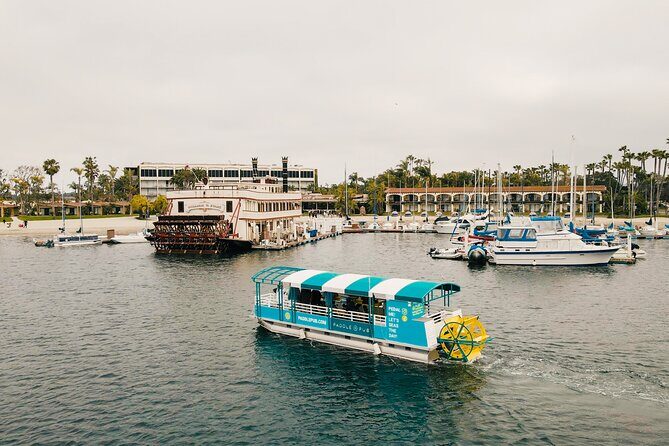 Paddle Pub San Diego Party Cruise: Drinks & Dancing for up to 26 - Key things to know before you go