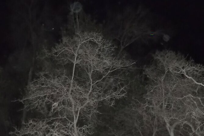 Paranormal Investigation History & Ghost Tour Old Town San Diego - The real-world logistics: where you meet and how to prepare