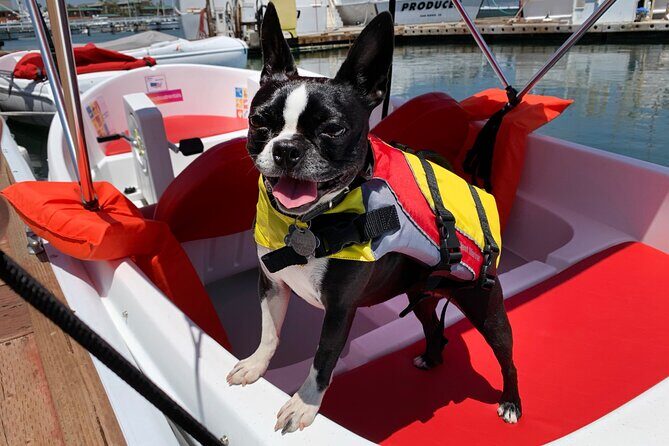 Pedal Boat rental in hidden part of San Diego Bay! Family fun - Best places to plug into the day: what to bring and how to avoid last-minute stress