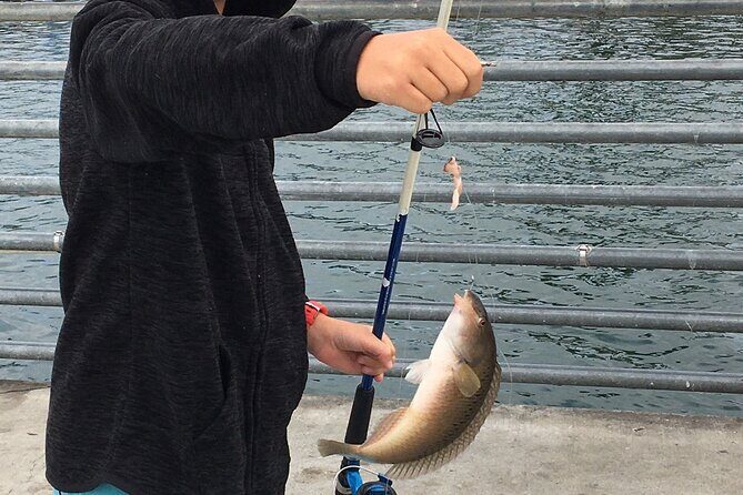 Pier Fishing Tour - San Diego - Shelter Island Pier Fishing: A Fast, Local Taste of San Diego’s Ocean