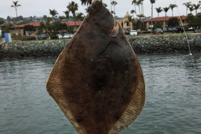Pier Fishing Tour - San Diego - Value Check: Why the Included Gear Helps More Than You Think