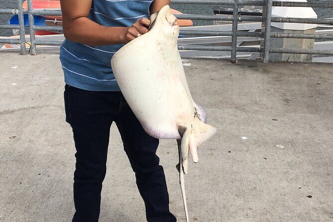 Pier Fishing Tour - San Diego - What’s Included: Poles, Tackle, Bait, and Less Pre-Trip Shopping