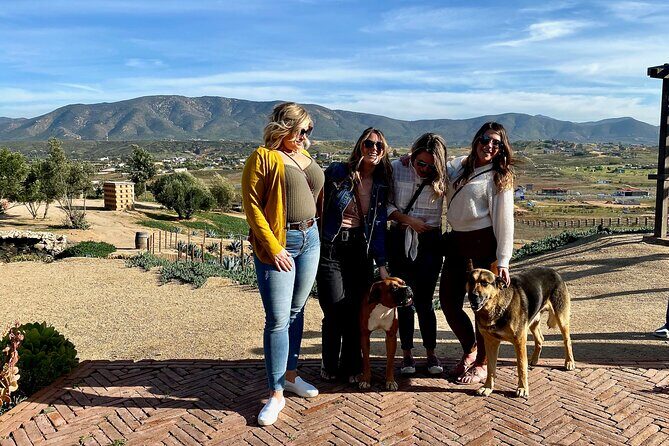 Premium Valle de Guadalupe Wine and Food Tour - All-inclusive value: what $259 really buys you