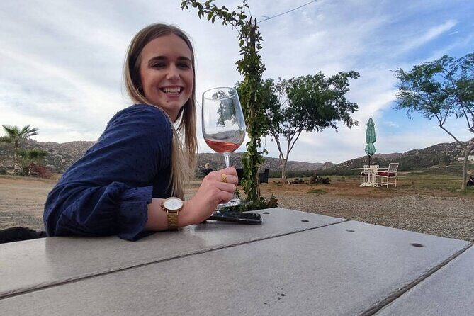 Premium Valle de Guadalupe Wine and Food Tour - Rosarito’s coast break: two tacos, a quick breather