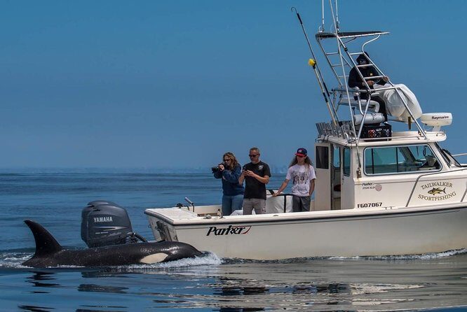 Private Family Whale & Dolphin Adventure in San Diego - The boat setup: enclosed cabin, observation tower, and a real restroom