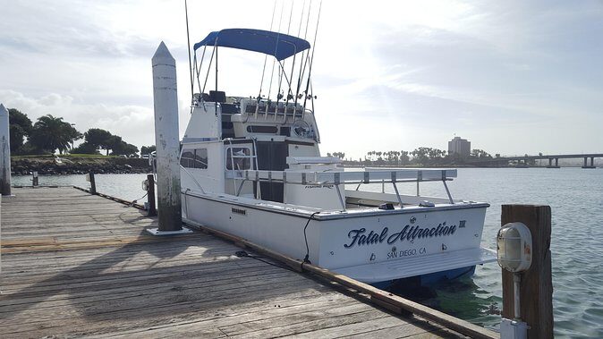 Private Half-Day San Diego Fishing Trip for up to 6 People - Wildlife sightings and coastal views (when conditions cooperate)
