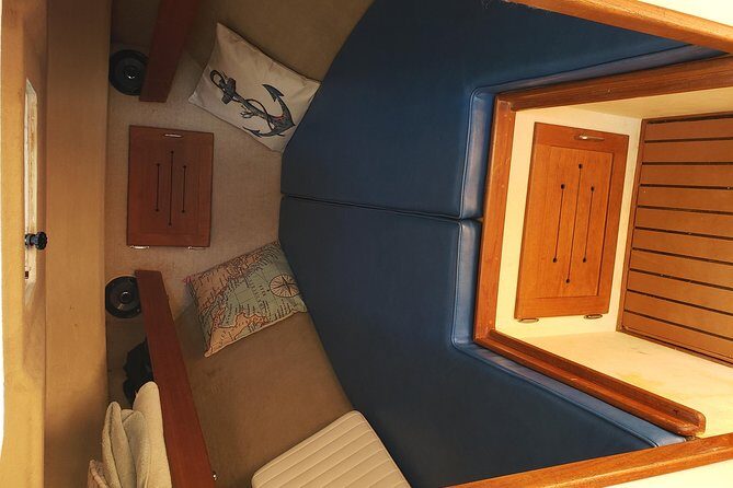 Private Half-Day San Diego Fishing Trip for up to 6 People - Price and value: private charter cost, plus the license reality