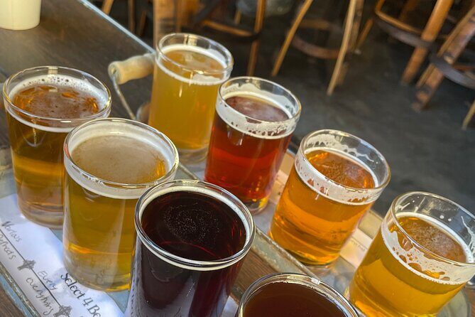 Private San Diego Beer Tasting Tour - Key Highlights You’ll Actually Care About