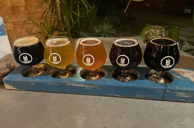 Private San Diego Beer Tasting Tour - What “Great Guide Energy” Looks Like Here