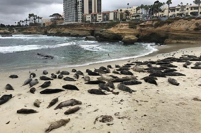 Private Segway Experience Through La Jolla - La Jolla village stops: shops, galleries, and a smarter snack plan