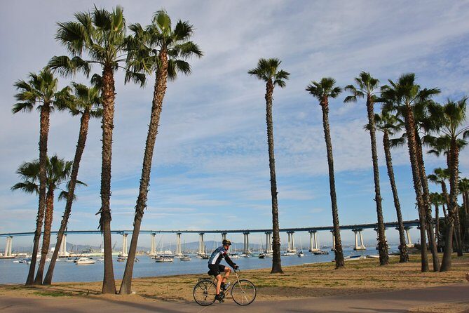 Private Shuttled Coastal Gems Scenic Customizable Tour - Stop 4: Mission Bay Park for a calmer water break