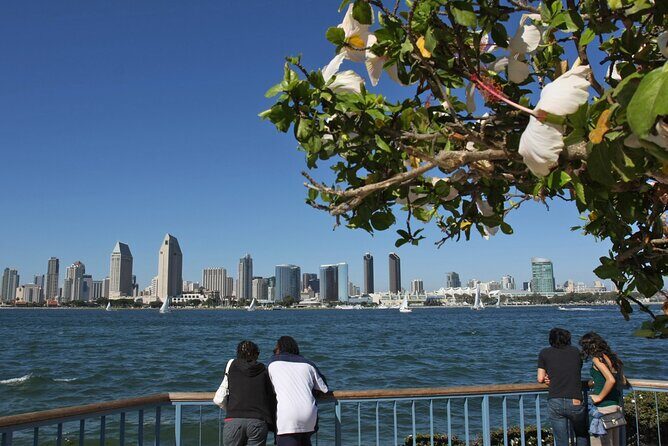 Private Shuttled Coastal Gems Scenic Customizable Tour - Stop 6: Coronado Ferry Landing for city-bay backdrops and selfies