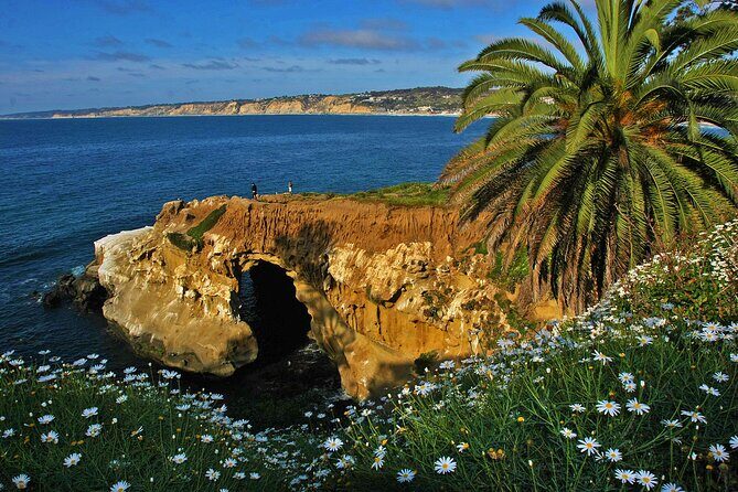 Private Shuttled Coastal Gems Scenic Customizable Tour - Stop 1: La Jolla first, for architecture and coastline views