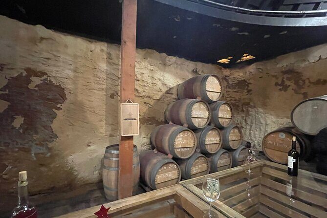 Private Tour Premium Wineries in the Valle de Guadalupe - Private Premium Wineries in Valle de Guadalupe: the real advantage is comfort