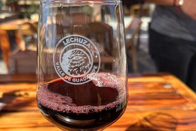 Private Tour Premium Wineries in the Valle de Guadalupe - Stop 1: Bodegas Magoni and an Italian-inspired first impression