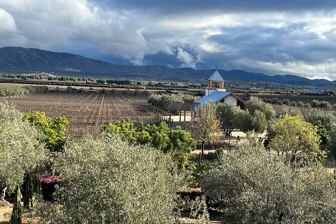 Private Tour Premium Wineries in the Valle de Guadalupe - Stop 3: Villa Montefiori’s Italian traditions in Mexico’s Valle