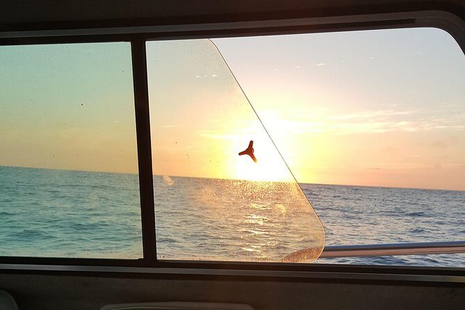 Romantic Wine and Cheese Boat Tower Cruise - A 360-Degree Tower on Mission Bay at Golden Hour