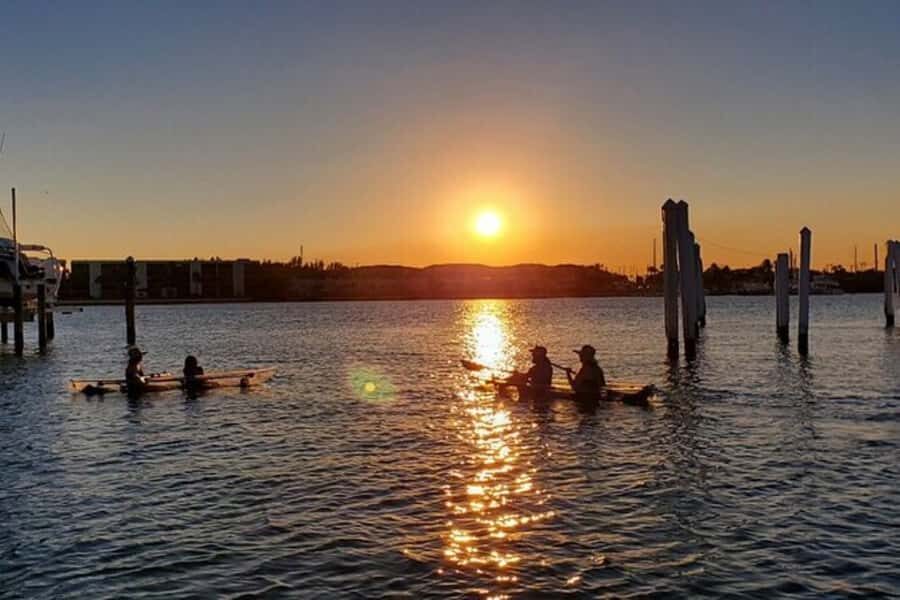 San Diego: 2024 Crystal Clear Kayak Rental - Crystal Clear Kayak on San Diego Bay: What You’re Really Buying
