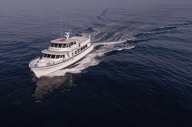 San Diego: 3 Hour Whale Watching Cruise - Value Check: Is $34 a Smart Deal for Whale Watching?