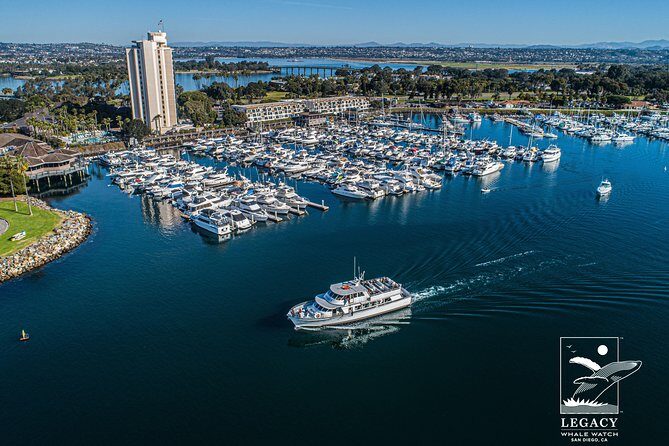 San Diego: 3 Hour Whale Watching Cruise - The onboard wildlife education: practical, not preachy