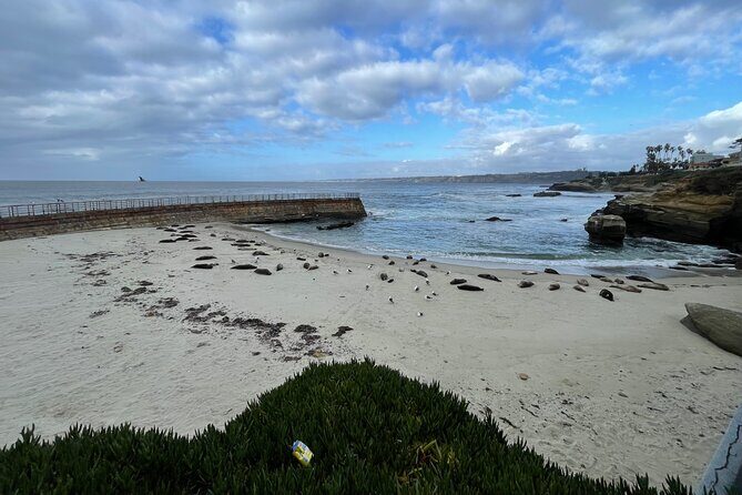 San Diego 5 Hour Tour (Private) - Old Town San Diego State Historic Park for tortillas and the feeling of beginnings