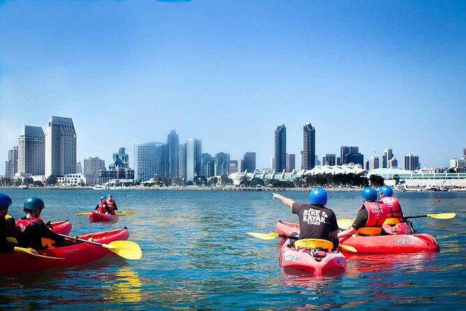 San Diego Bay 1.5-Hour Guided Kayak Tour in Coronado - Quick Hits: What Makes This Coronado Kayak Tour Worth Your Time