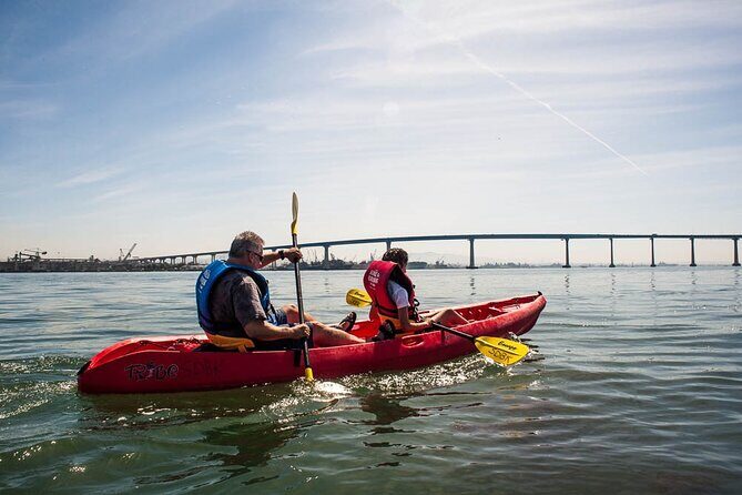 San Diego Bay 1.5-Hour Guided Kayak Tour in Coronado - The Guide Experience: Safety That Feels Practical