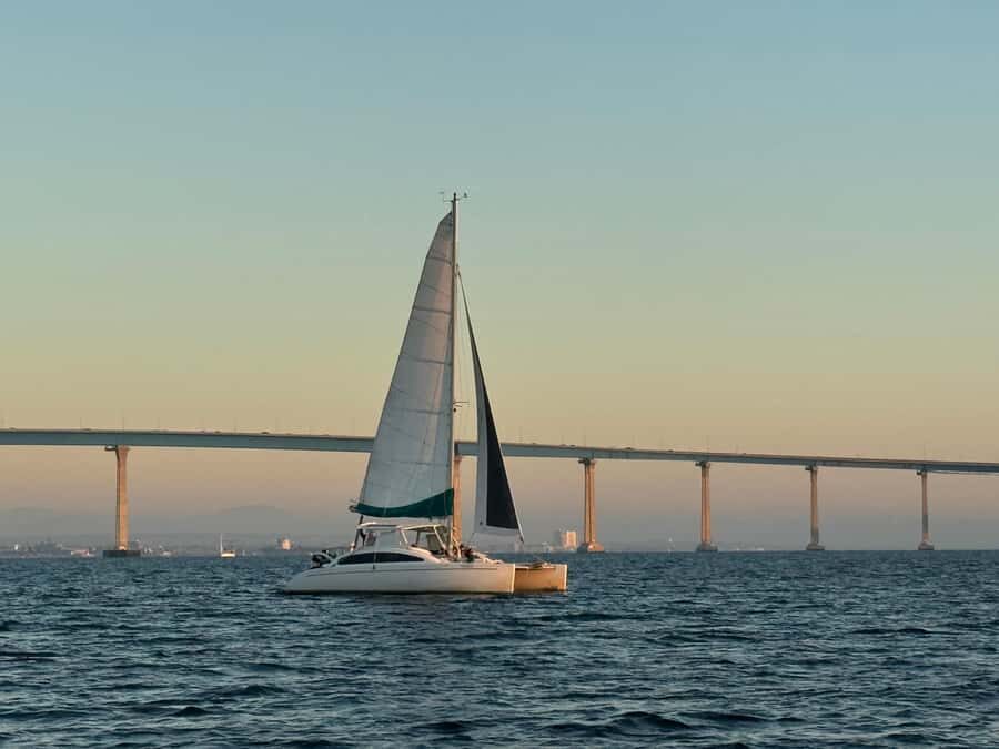 San Diego Bay: 2.5 hour Pure Catamaran Sailing Cruise - What you’ll see on the water: skyline, Coronado Bridge, and active harbor life