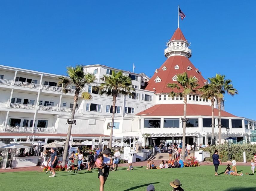 San Diego: City and Beaches Guided Highlights Tour - La Jolla Cove sea lions: the highlight you came for