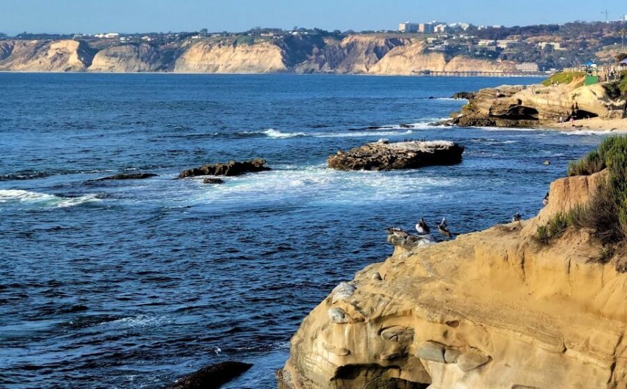 San Diego: City and Beaches Guided Highlights Tour - How the live narration keeps the stops connected