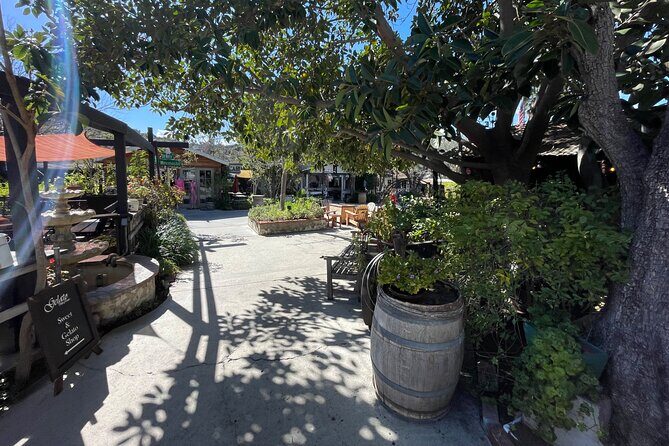 San Diego County Wine Tour (Private) - Value Check: Is $215 a Good Deal for a 5-Hour Private Tour?
