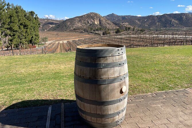 San Diego County Wine Tour (Private) - Who This Tour Suits Best (and Who Might Want Something Different)
