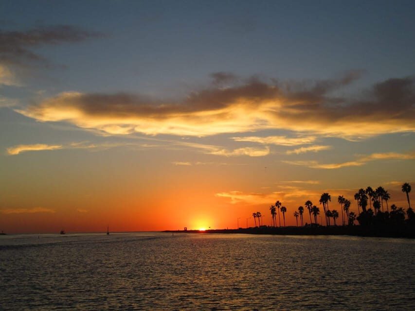 San Diego: Dolphin and Whale-Watching Sunset Cruise - Price and what you actually get for $70