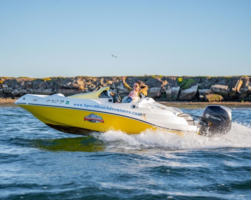 San Diego: Drive Your Own Speed Boat 2-Hour Tour - Should You Book This San Diego Speed Boat Adventure?